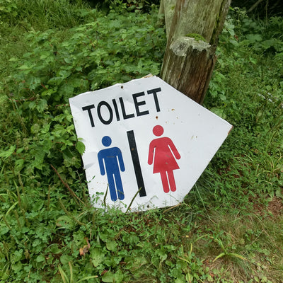 世界のトイレ事情と、日本のリッチなトイレ環境