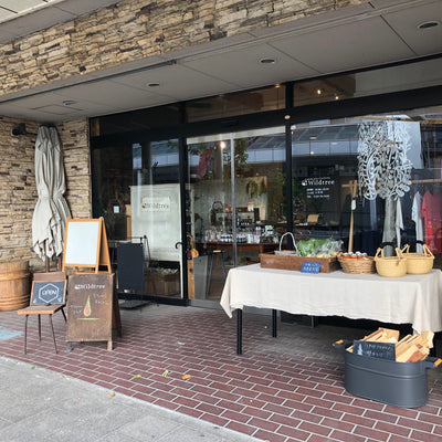 ワイルドツリー